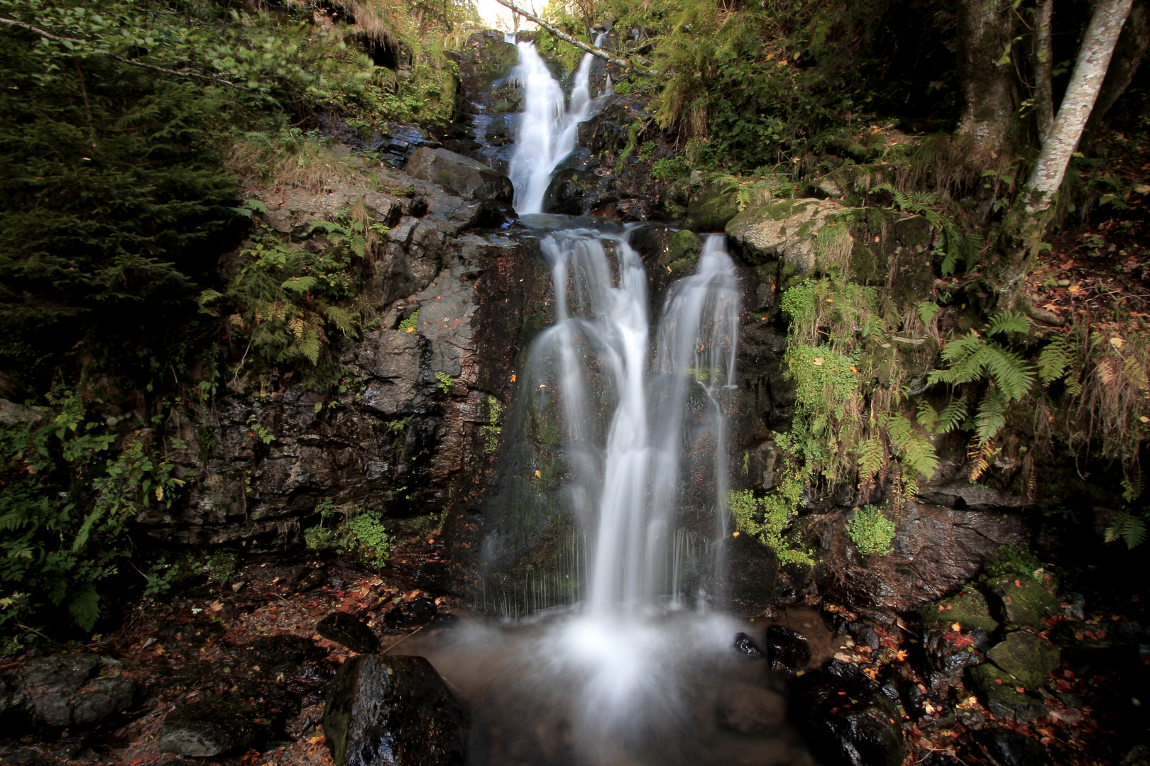 Am Todtnauer Wasserfall