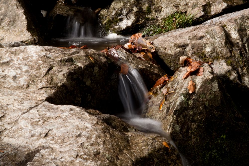 am Todtnauer Wasserfall