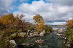 Am Töfsingdalens Nationalpark