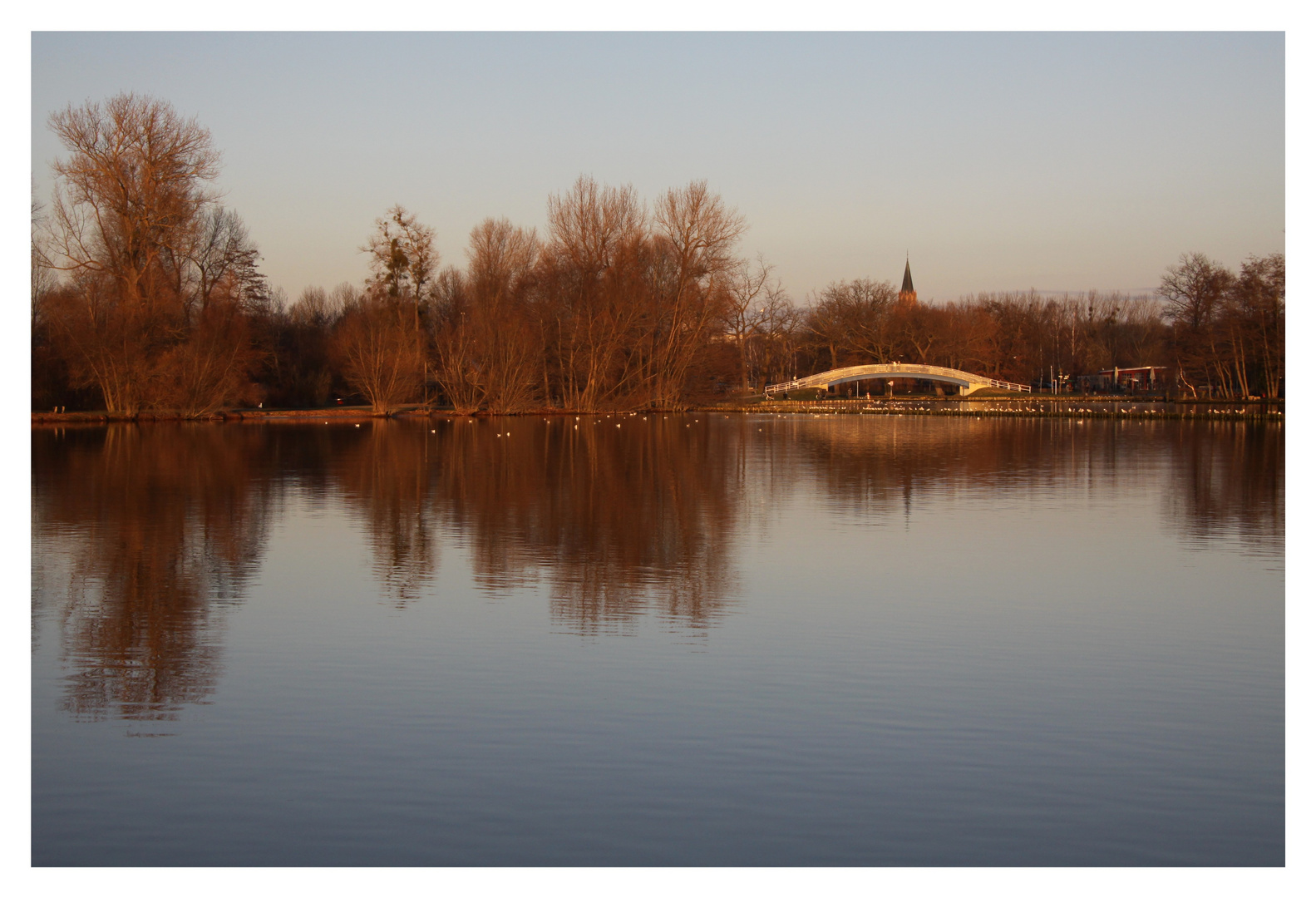 Am Tollensesee