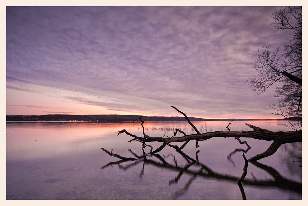 Am Tollensesee... (2)