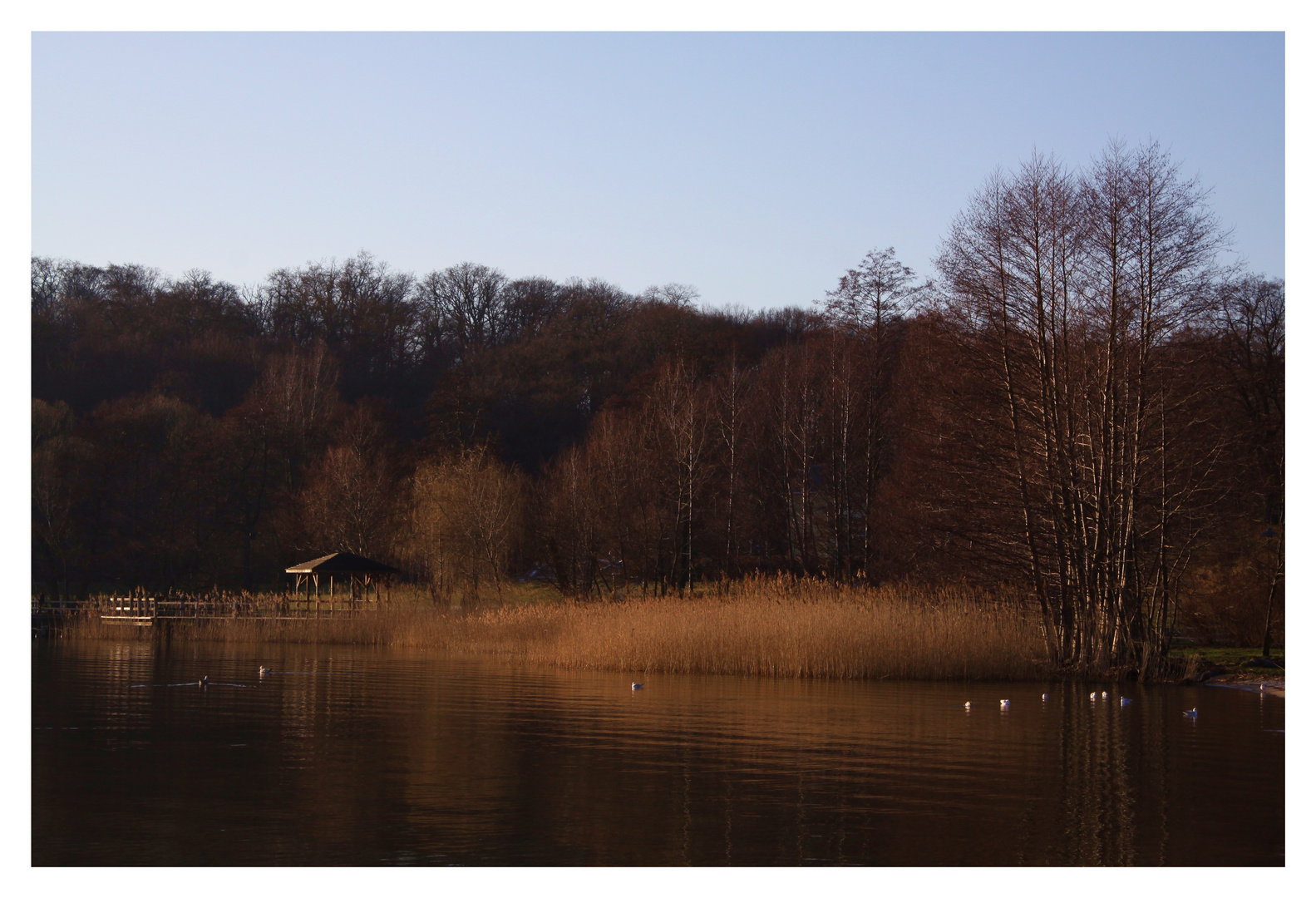 Am Tollensesee 2