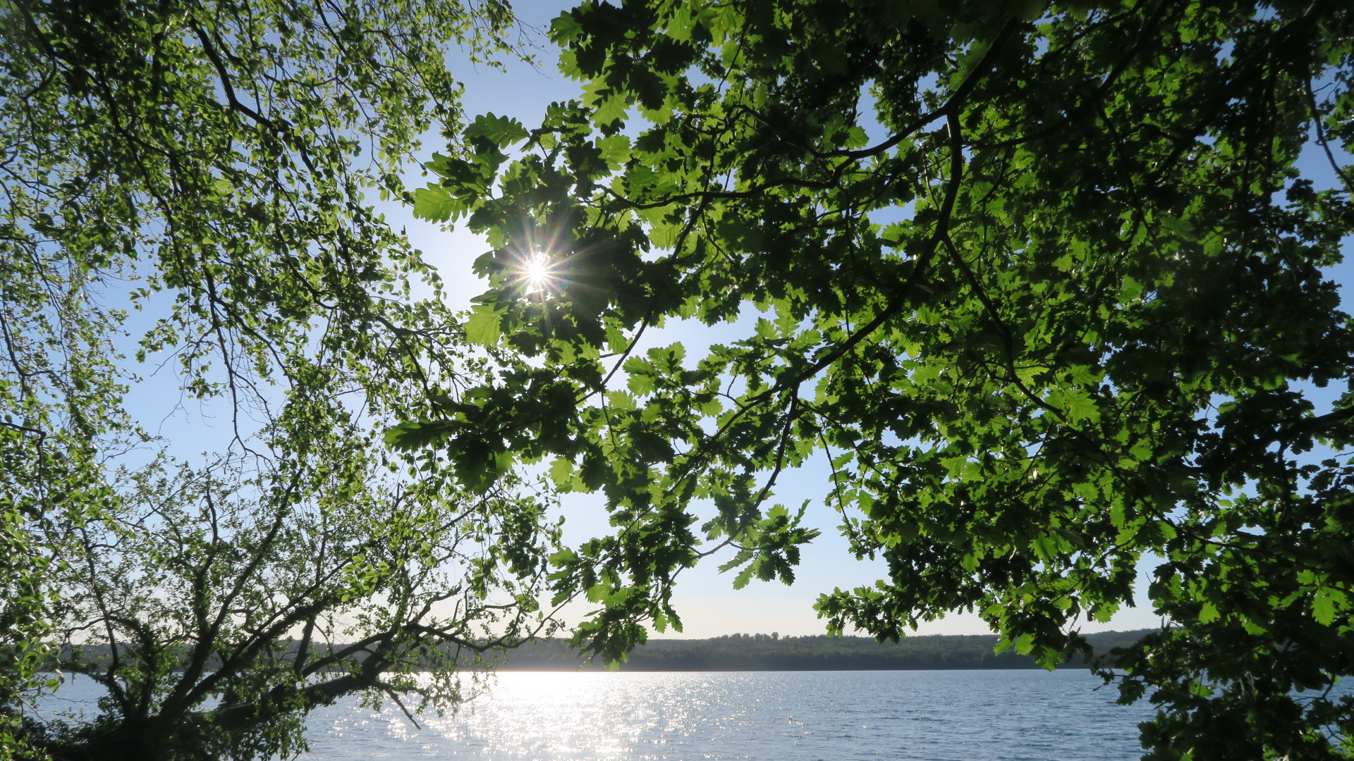 Am Tollensesee