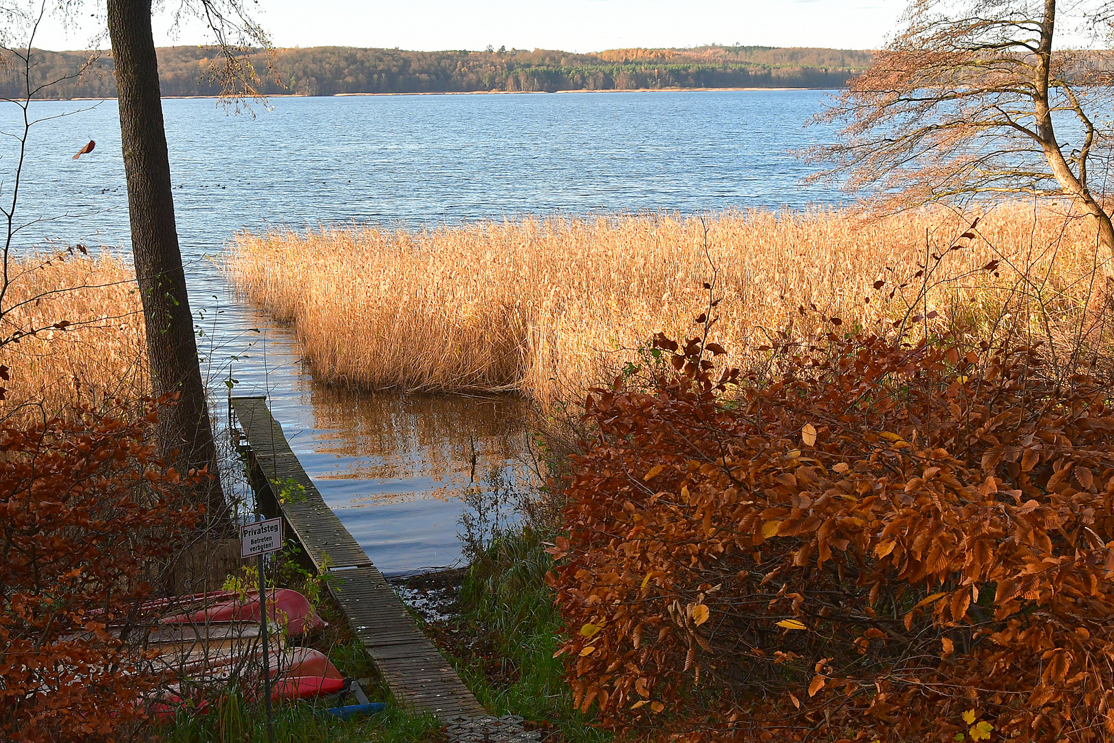 Am Tollensesee