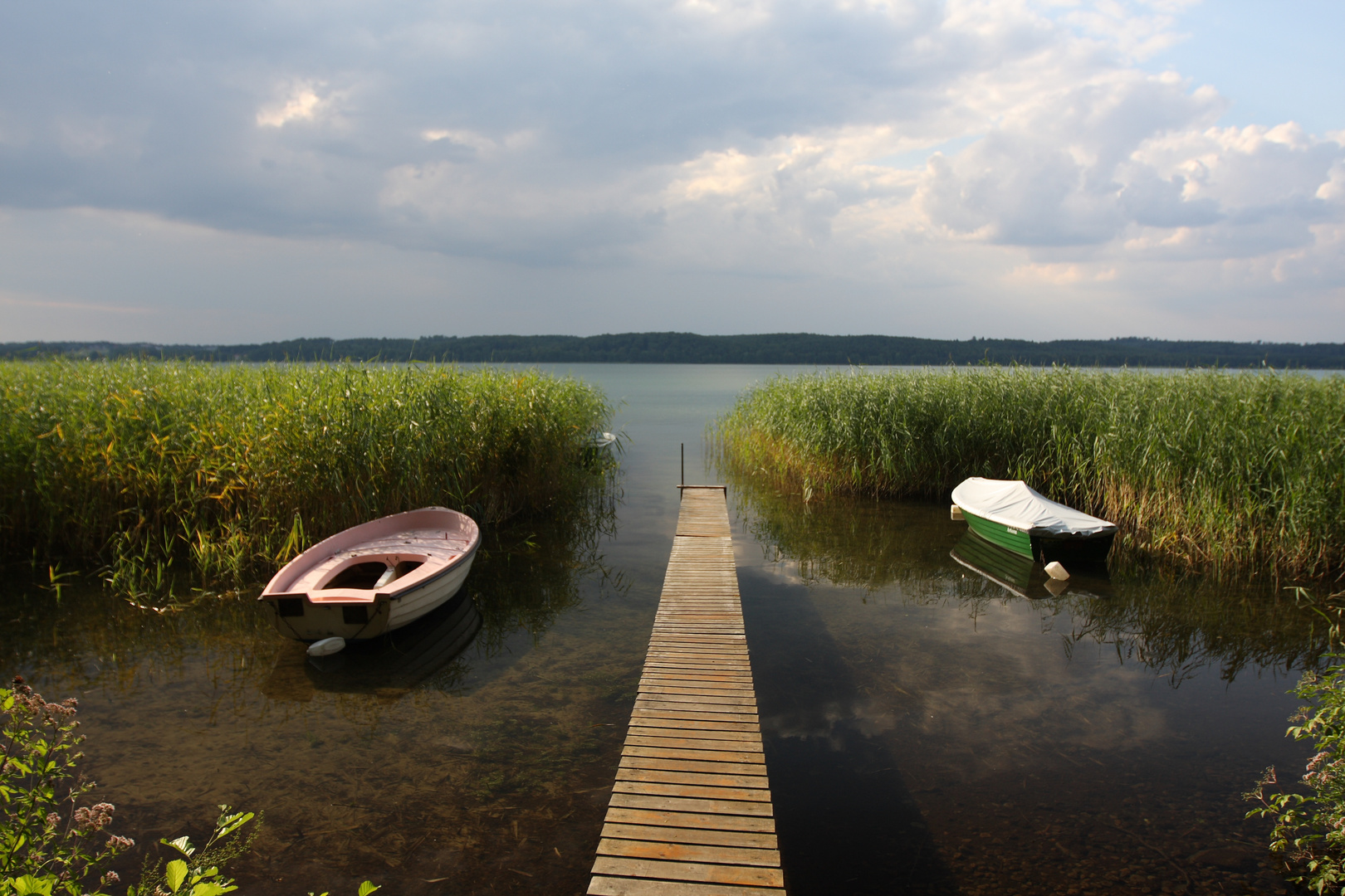 Am Tollensesee