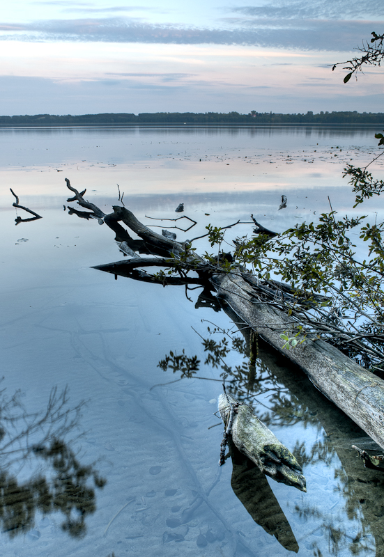 Am Tollensesee