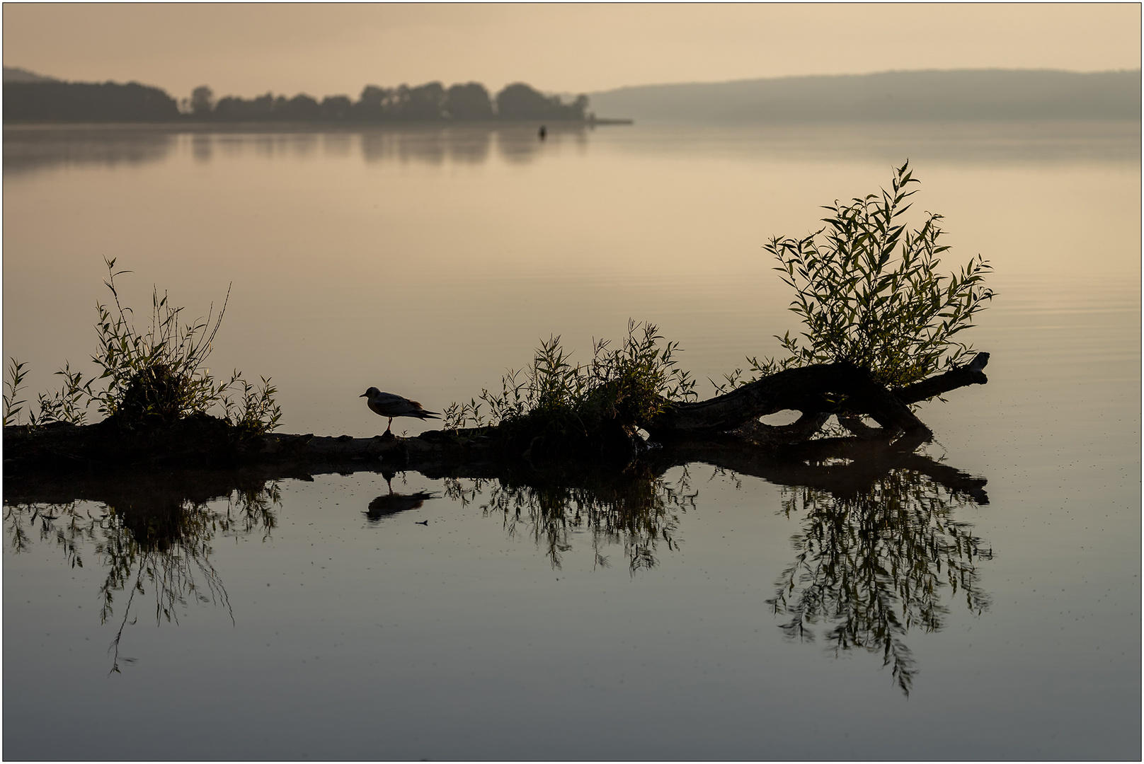 Am Tollensesee bei Wustrow