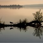 Am Tollensesee bei Wustrow