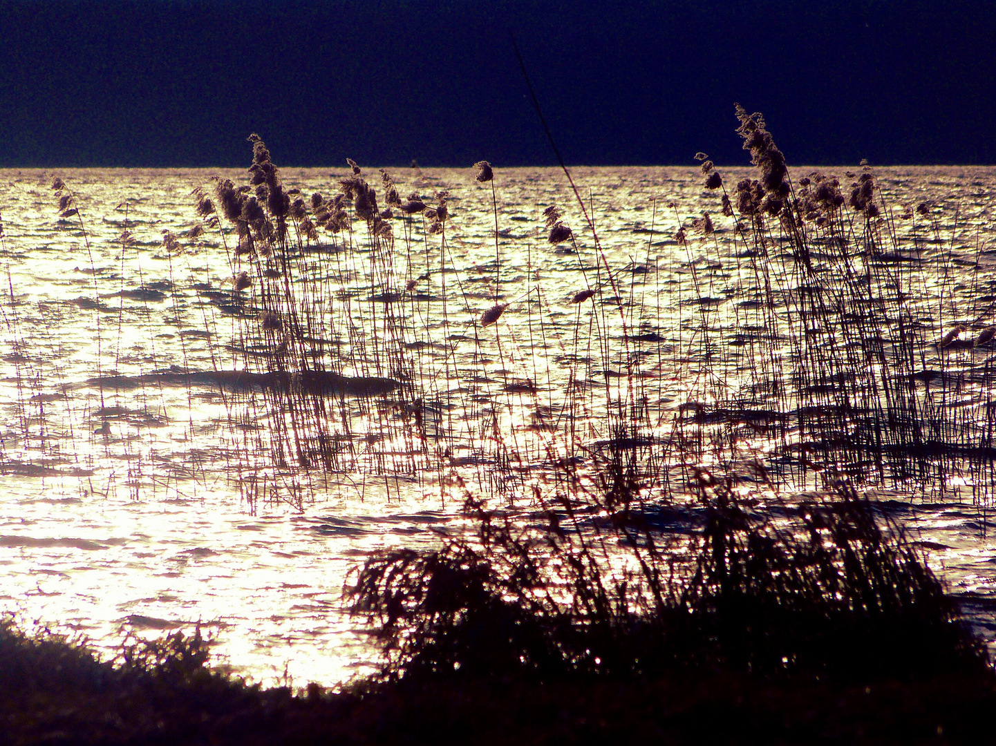 am Tollensesee Neubrandenburg