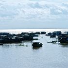 am tonle sap II, cambodia 2010