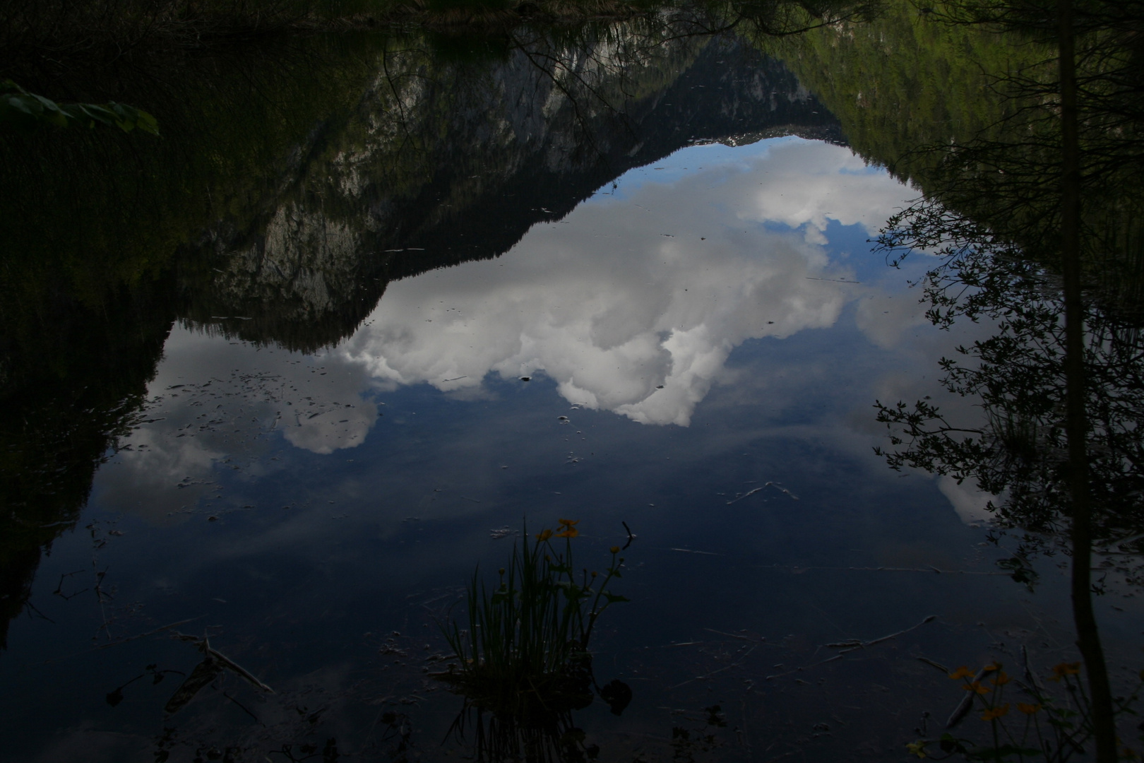 Am Toplitzsee II