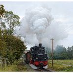 Am Tor zum Mönchgut auf Rügen vorbei