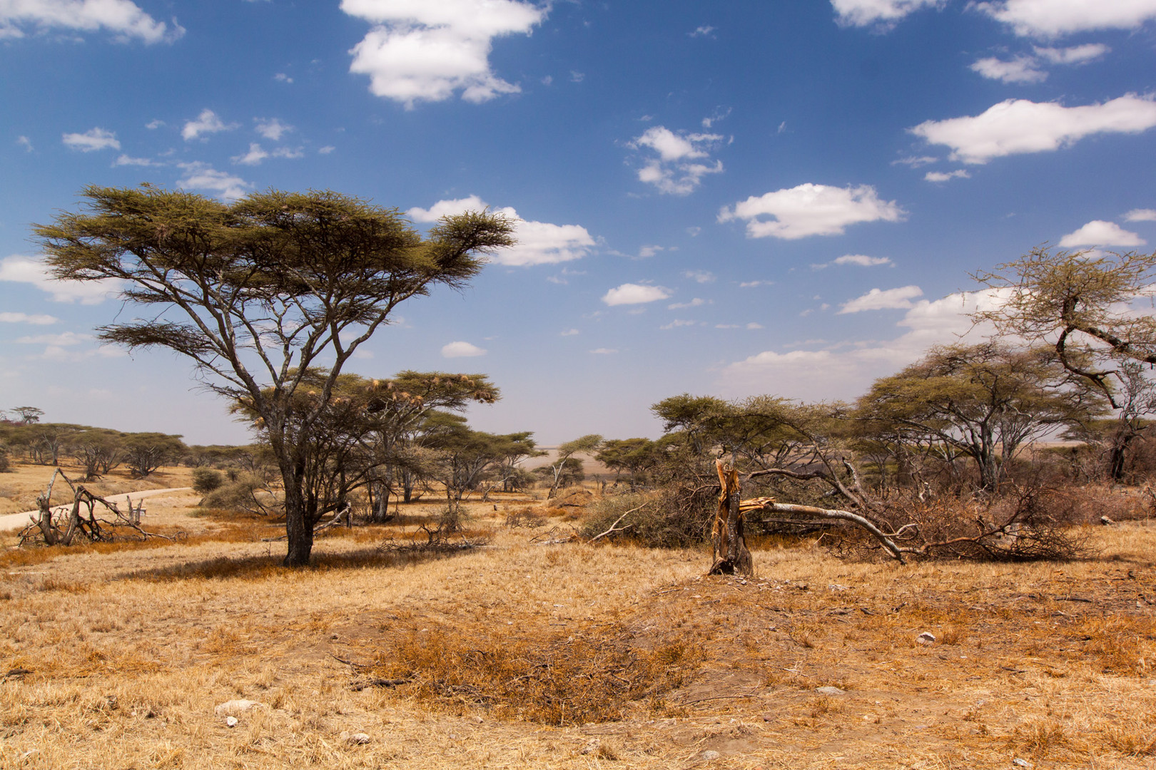 Am Tor zur Serengeti