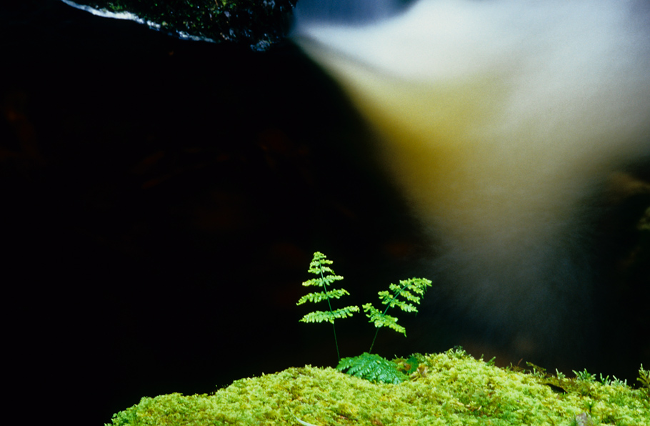 am Torc Wasserfall