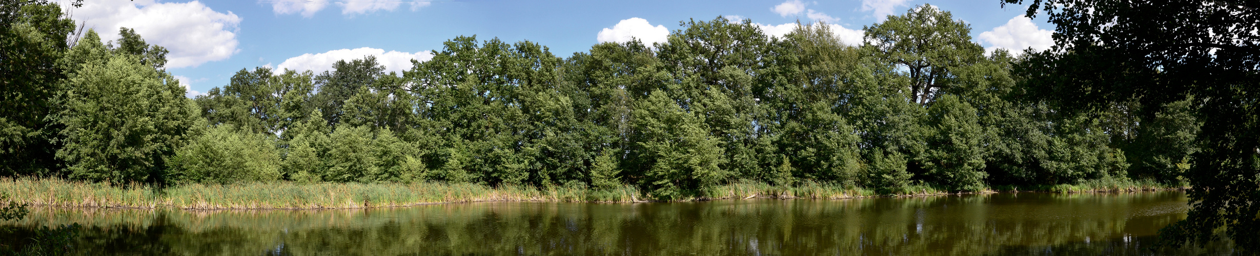 Am Torfbusch.....Panorama