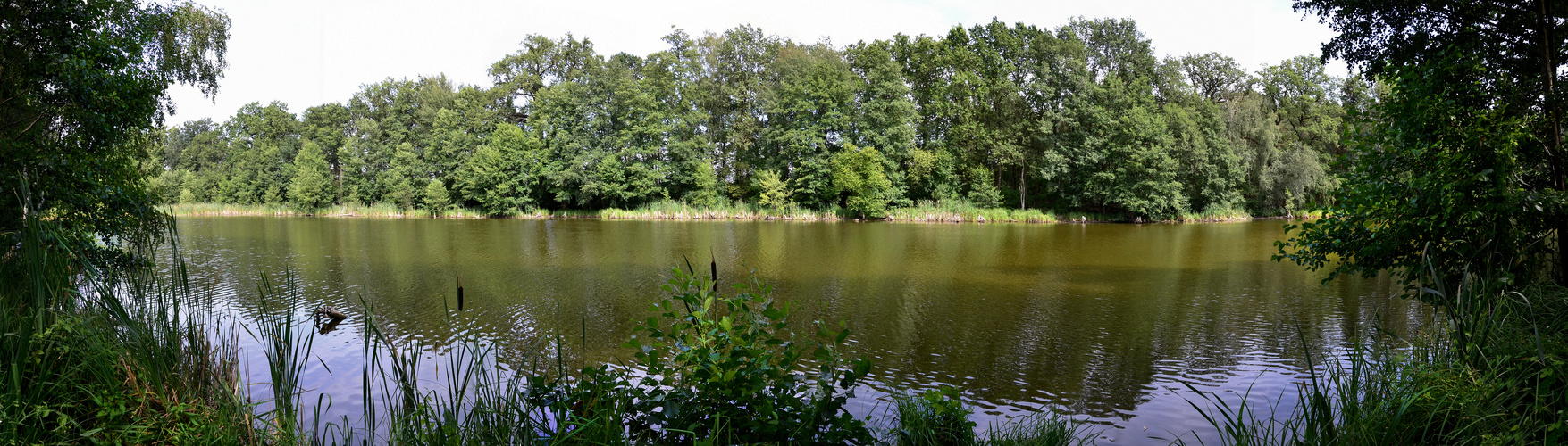 Am Torfbusch.....Panorama