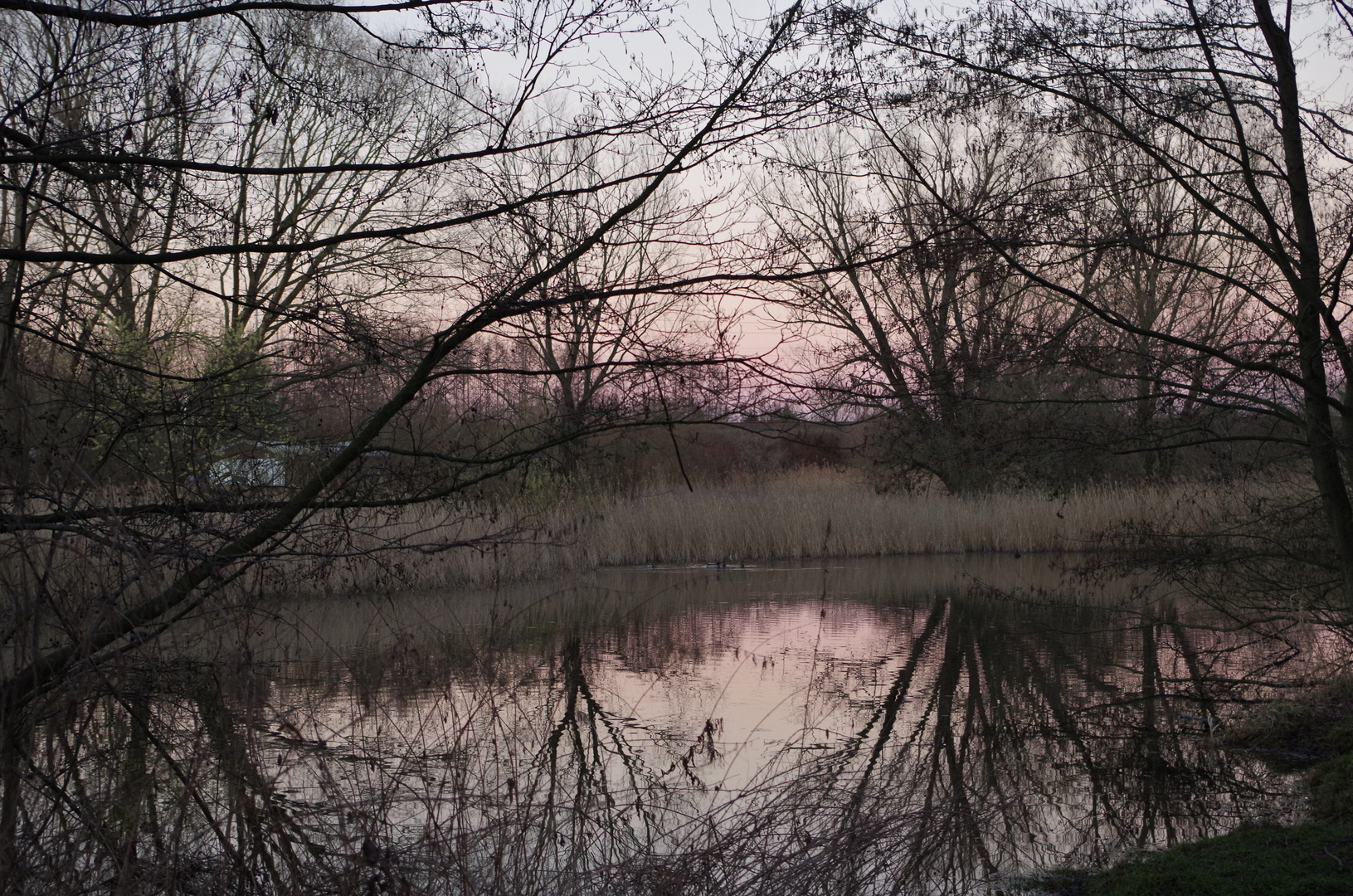 Am Torfteich