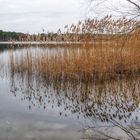 Am Tornower See