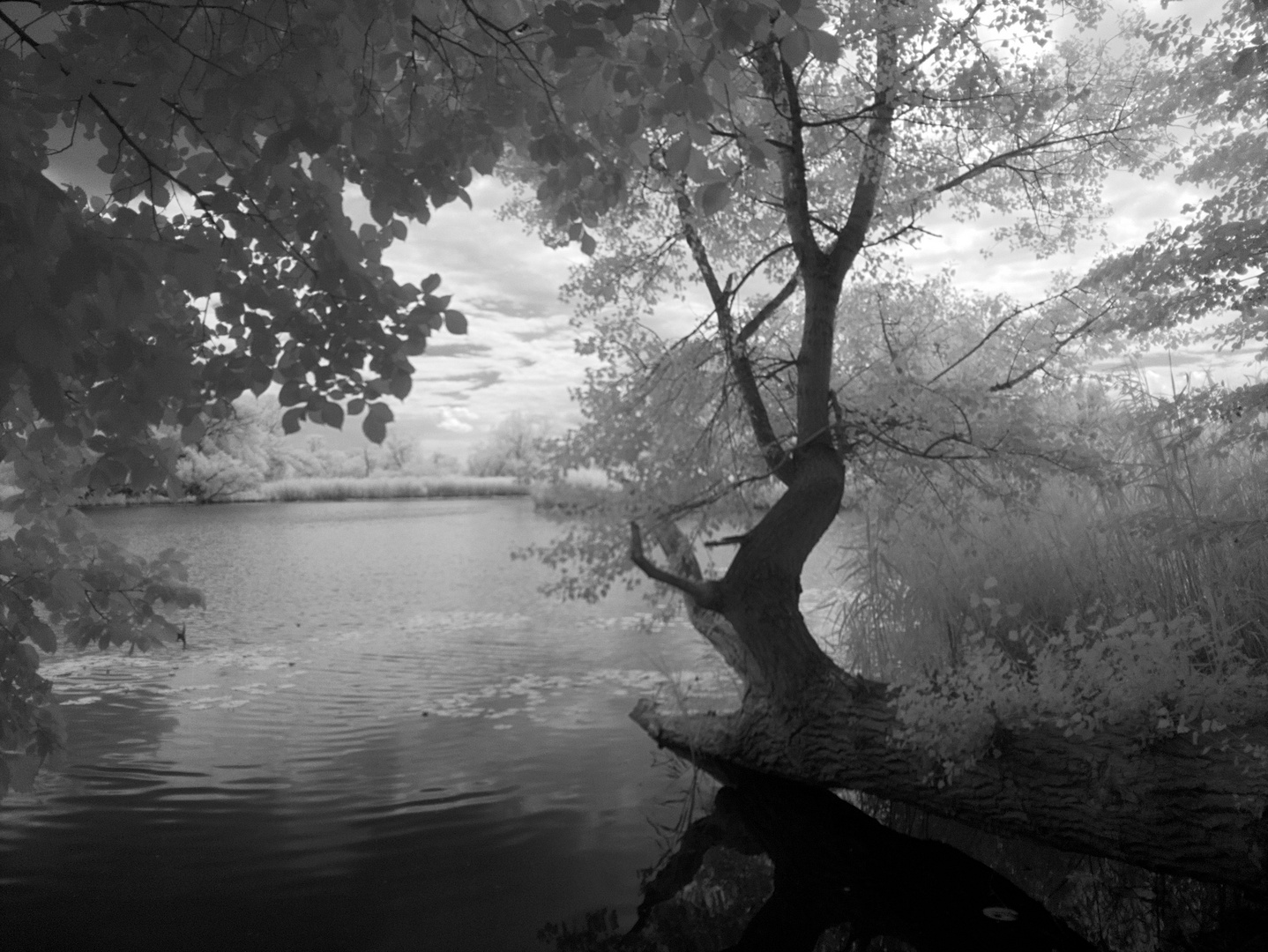 Am Totenkopfsee