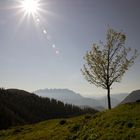 Am Trainsjoch