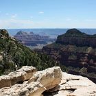 Am Transept Trail am North Rim des Grand Canyon...