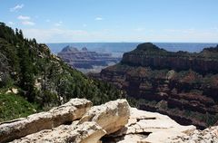 Am Transept Trail am North Rim des Grand Canyon...