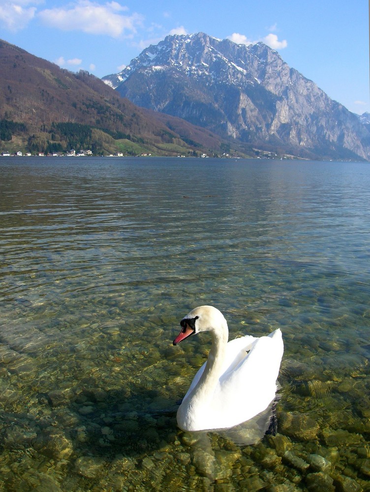 Am Traunsee