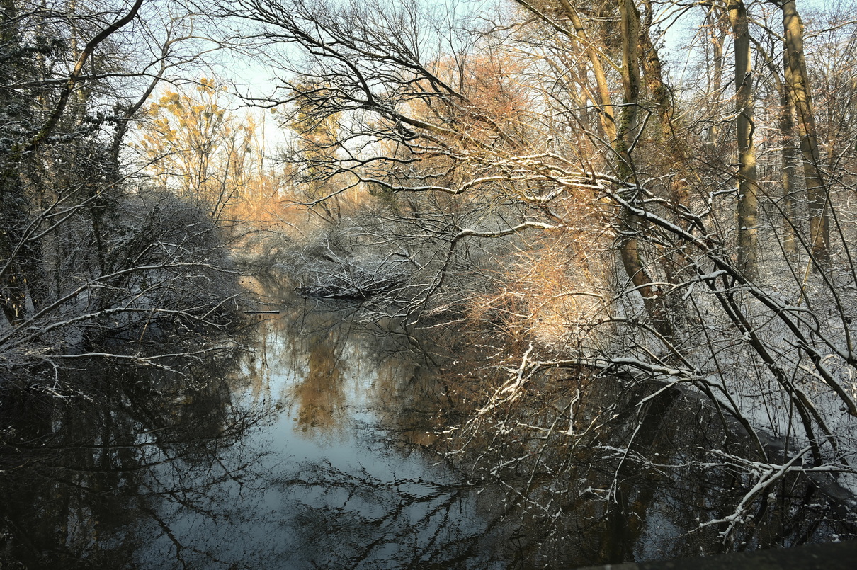 Am Treidlerweg in Hördt