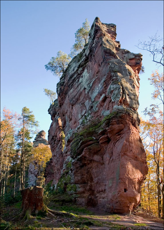 Am Trifels im Herbst