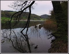 am Türlersee...