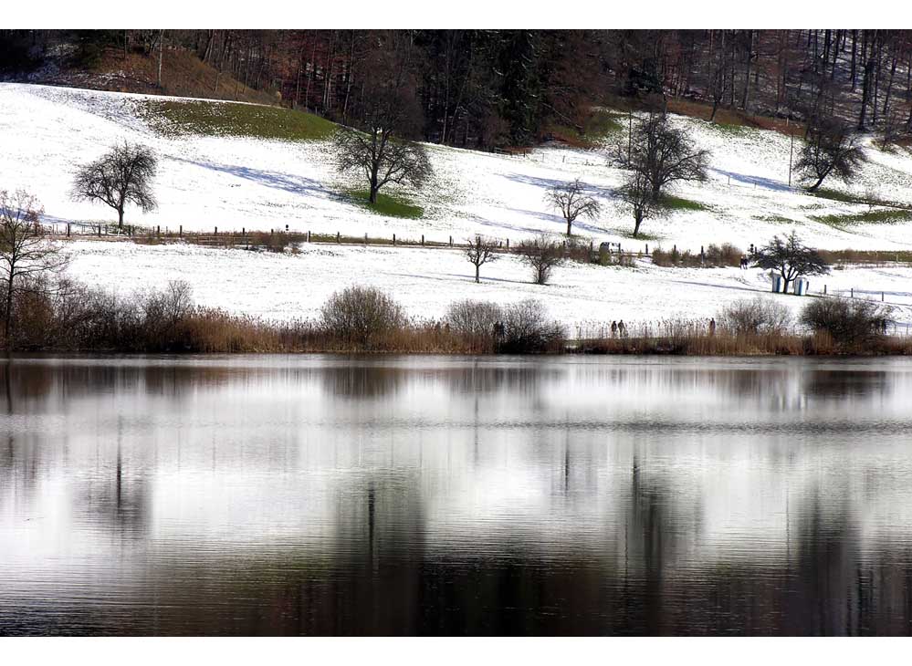 Am Türlersee