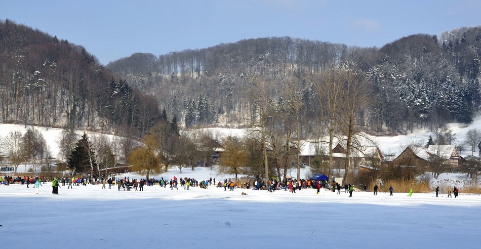 Am Türlersee