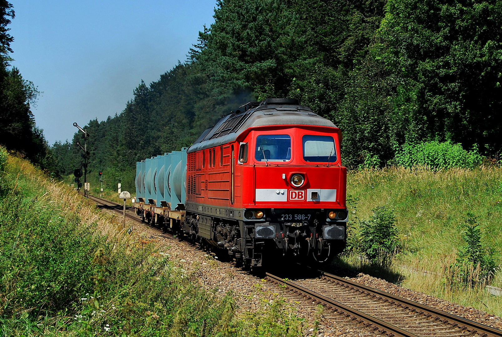 Am Tüßlinger Esig