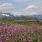 Am Tyinsee vor der Kulisse des Jotunheimen-Nationalparks...