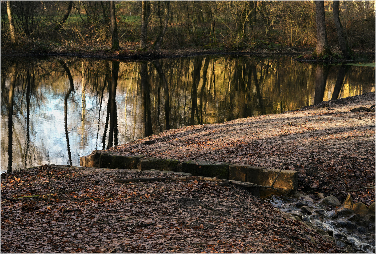 Am Überlauf zur Moosbeek