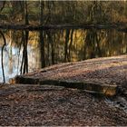 Am Überlauf zur Moosbeek