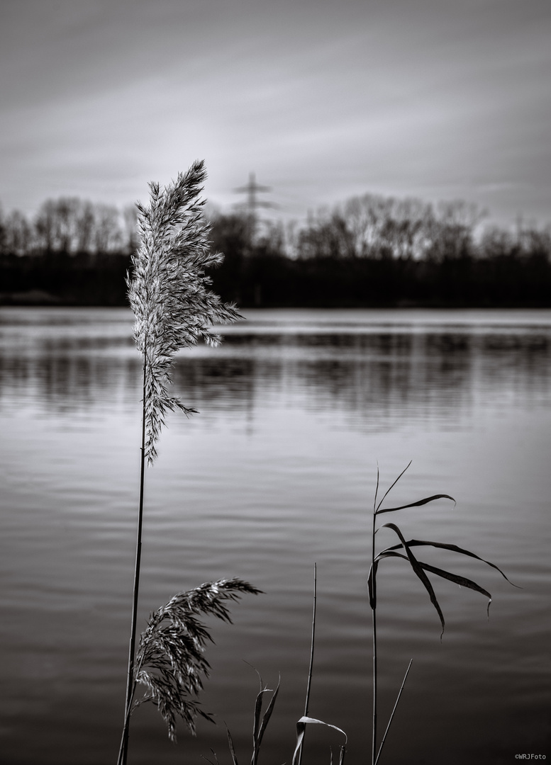 Am Ümminger See