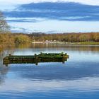 Am Ümminger See