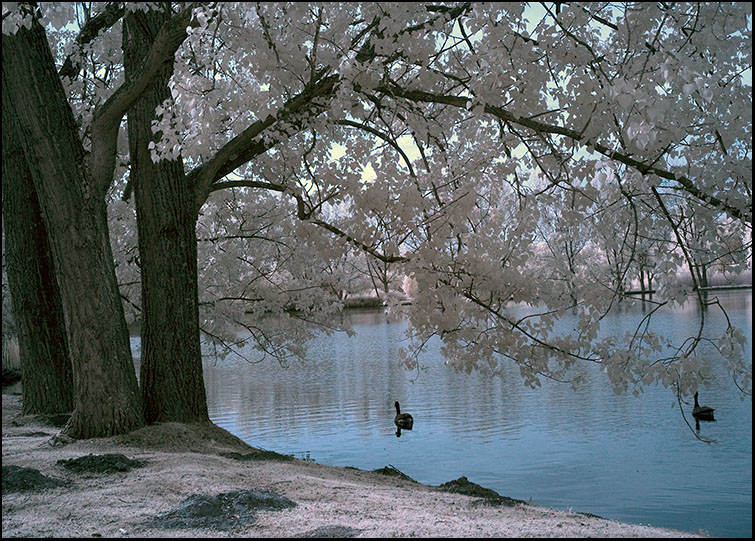 Am Ümminger See IV