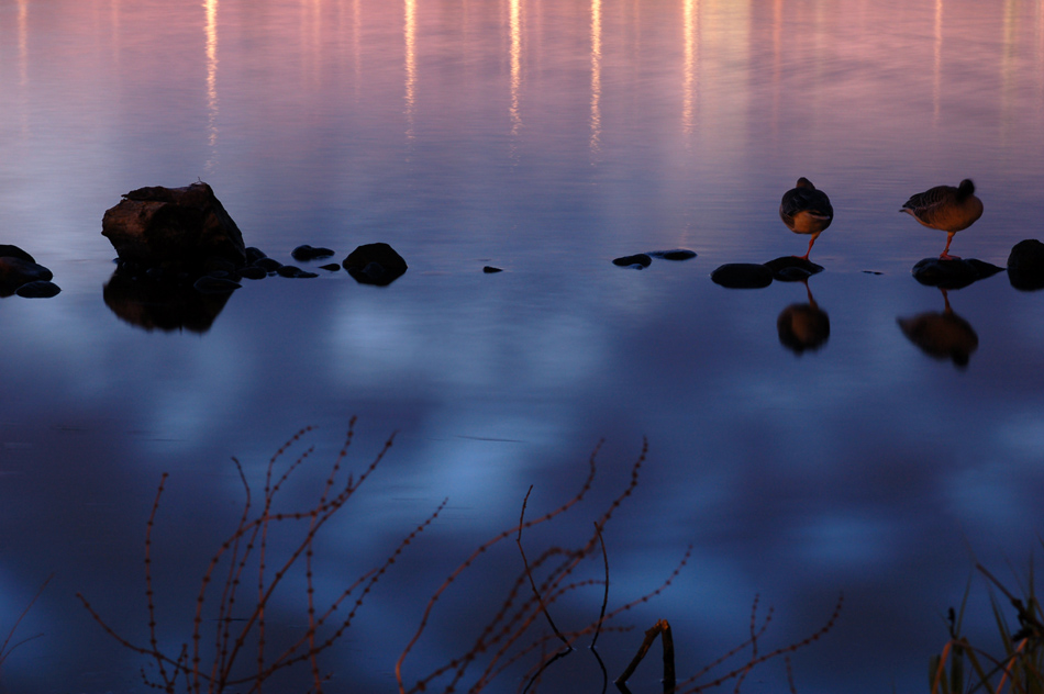 Am Ufer der Außenalster