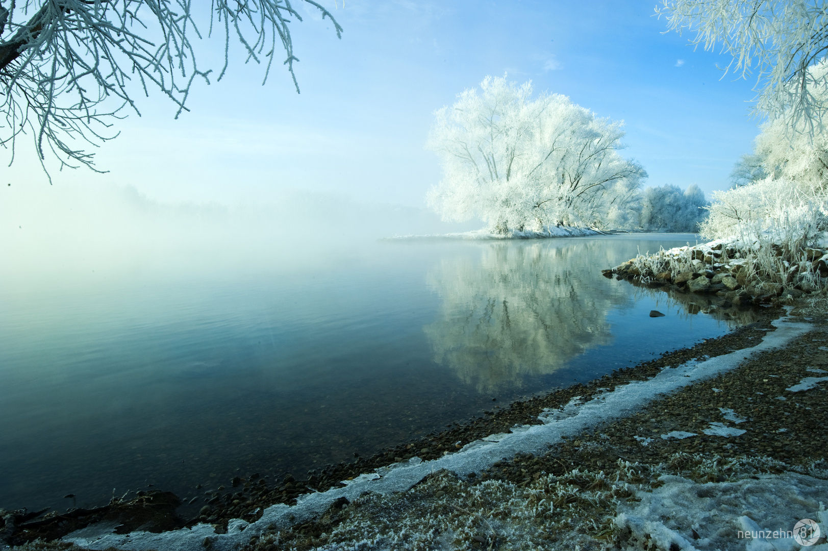 Am Ufer der Donau im Morgennebel