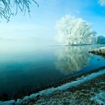 Am Ufer der Donau im Morgennebel