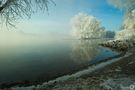 Am Ufer der Donau im Morgennebel II von neunzehn81 