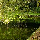 Am Ufer der Gräfte von Wasserburg Hülshoff im Münsterland