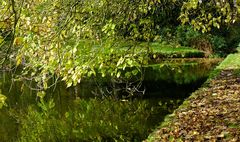 Am Ufer der Gräfte von Wasserburg Hülshoff im Münsterland