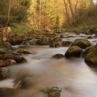 Am Ufer der Großen Bockau bei Blauental in Sachsen