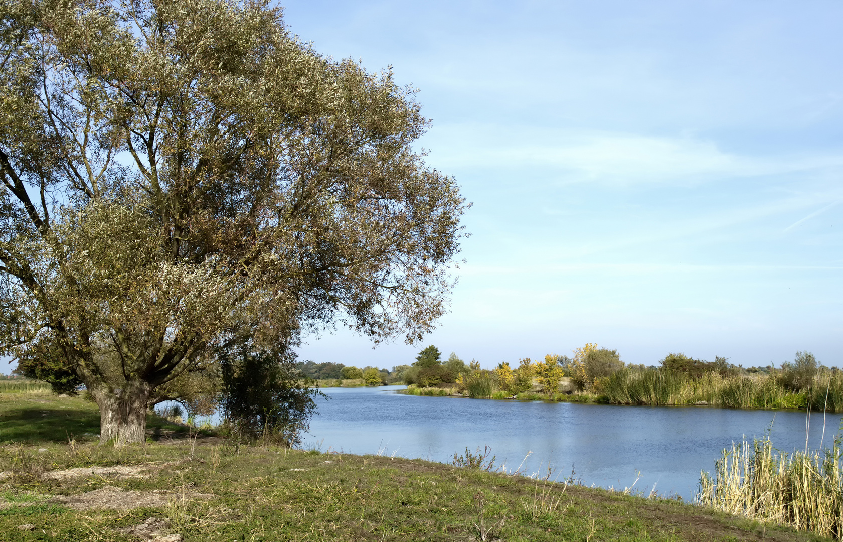 °Am Ufer der Havel°