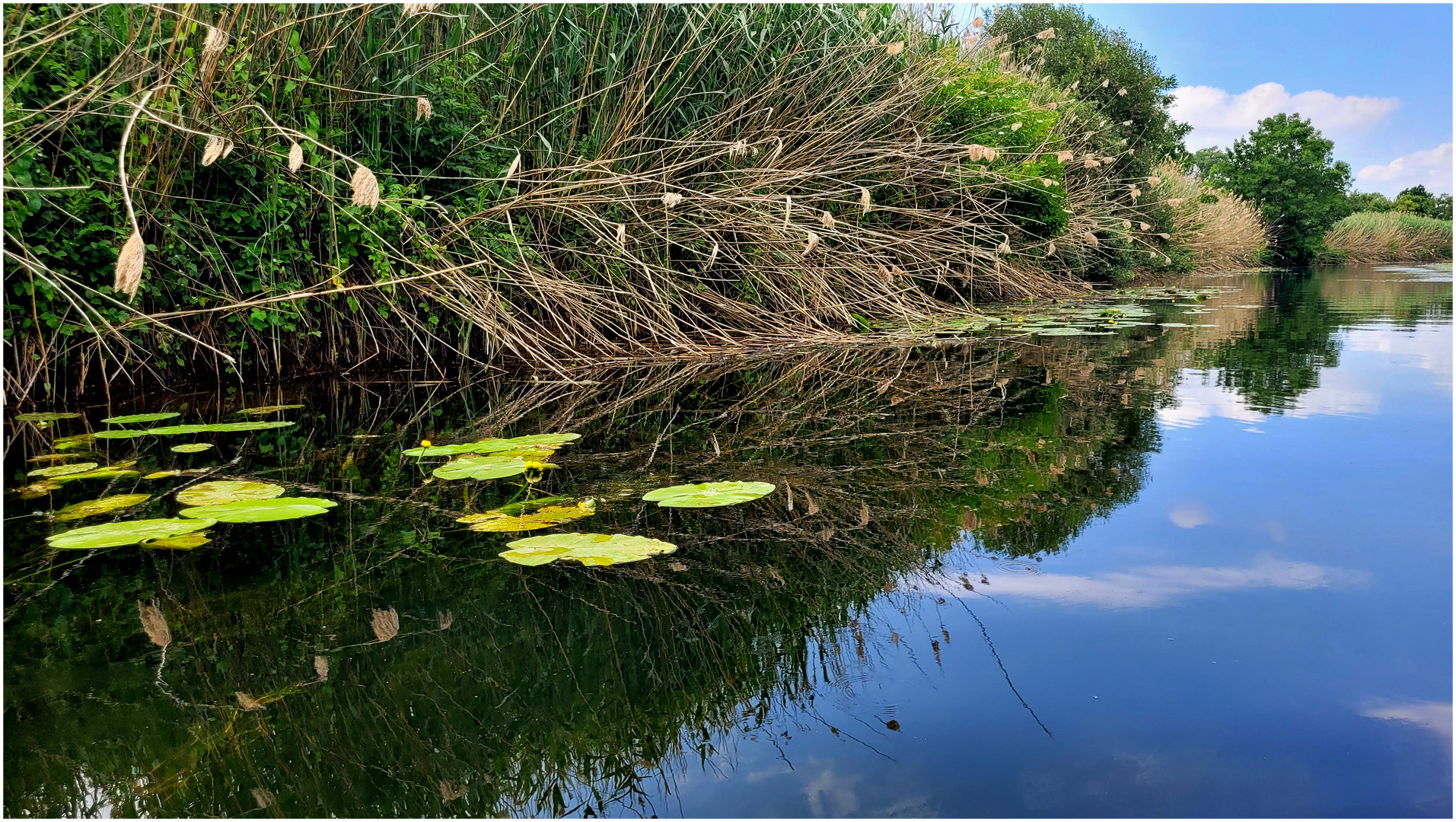 Am Ufer der Lahn (I)