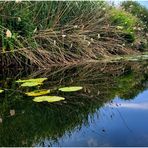 Am Ufer der Lahn (I)