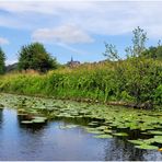 Am Ufer der Lahn (II)